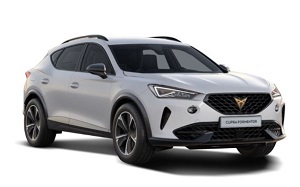 Cupra Formentor Dachbox