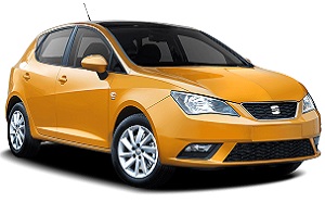 Seat Ibiza Dachbox
